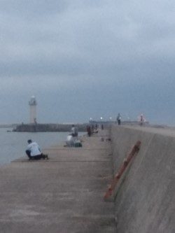 今年も太刀魚へ・・